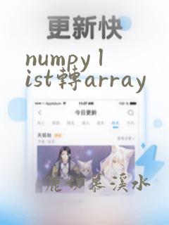 numpy list转array