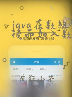 java在数组后面加入数据