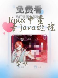 linux中查看java进程