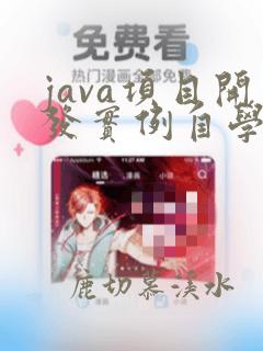 java项目开发实例自学手册