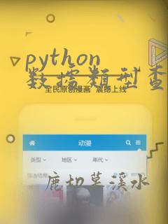 python 数据类型查看