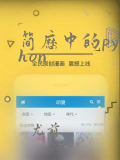 简历中的python