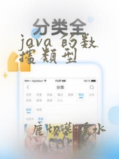 java 的数据类型