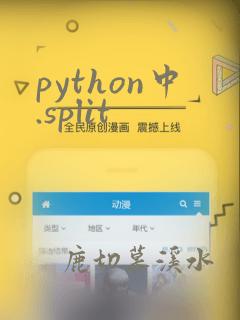 python中.split