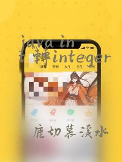 java int 转integer