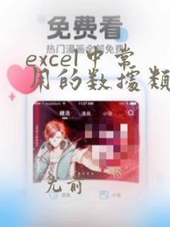 excel中常用的数据类型
