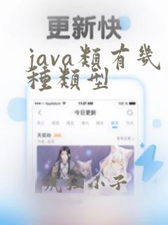 java类有几种类型