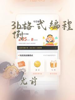 3b格式编程实例