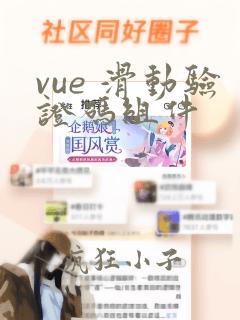vue 滑动验证码组件