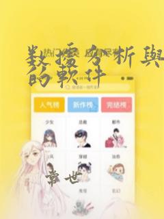 数据分析与统计的软件