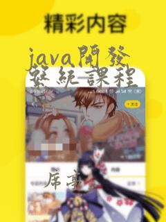 java开发 系统课程