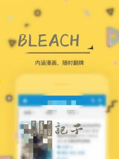 BLEACH：结局+番外