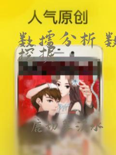 数据分析 数据挖掘