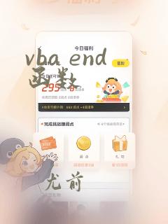 vba end函数