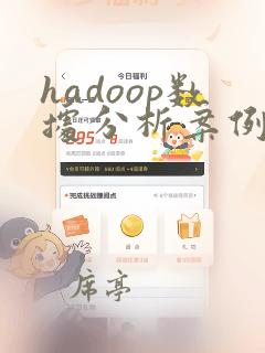 hadoop数据分析案例