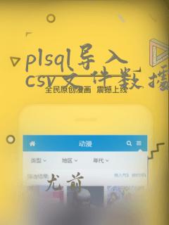 plsql导入csv文件数据