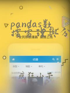 pandas数据处理与分析 耿远昊pdf