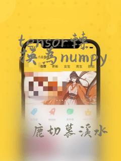tensor转换为numpy