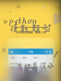 python 复数类型