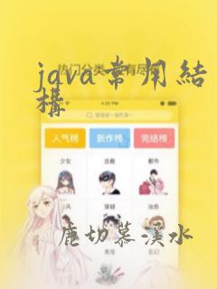 java常用结构
