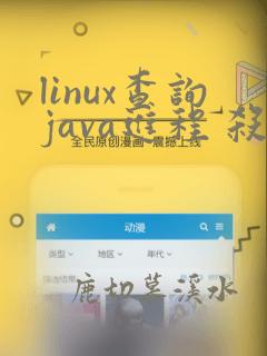 linux查询java进程 杀进程
