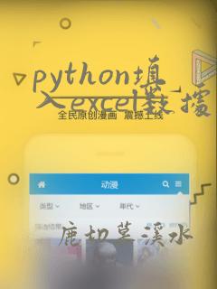 python填入excel数据