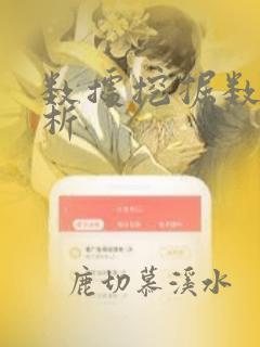 数据挖掘数据分析