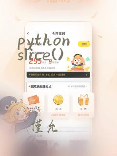 python slice()