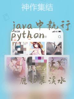 java中执行python