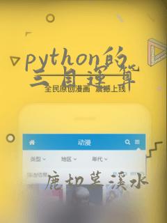 python的三目运算