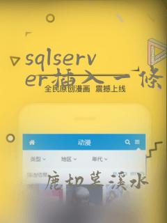 sqlserver插入一条数据