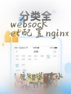 websocket配置nginx
