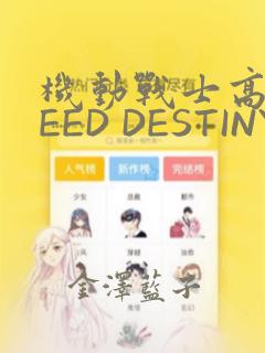 机动战士高达SEED DESTINY ASTRAY：结局+番外