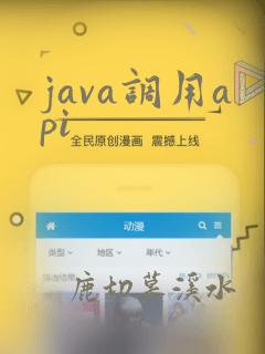java调用api