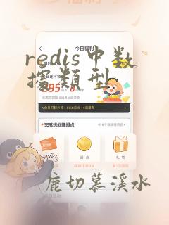 redis中数据类型