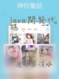 java开发代码