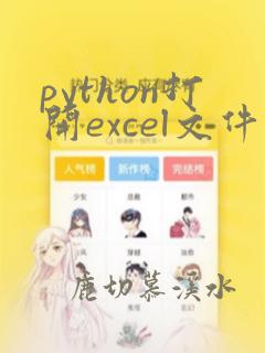 python打开excel文件