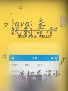 java: 未找到命令