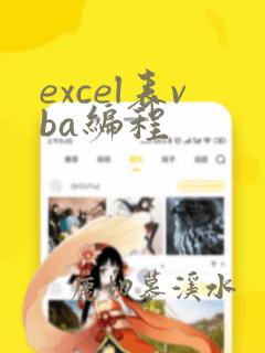 excel表vba编程