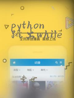 python 跳出while