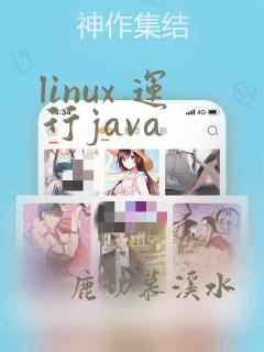 linux 运行java