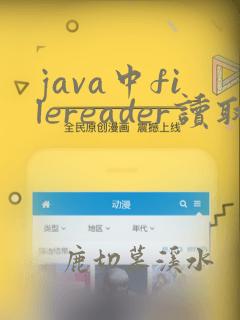 java中filereader读取文件