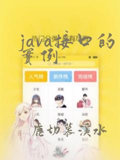 java接口的实例