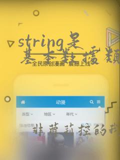 string是基本数据类型吗