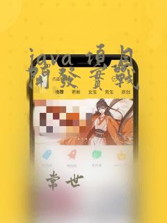 java 项目开发实战