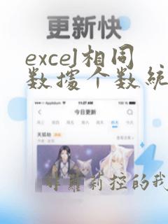 excel相同数据个数统计