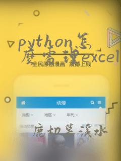 python怎么处理excel