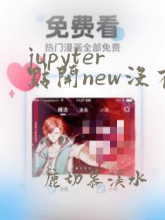 jupyter点开new没有python