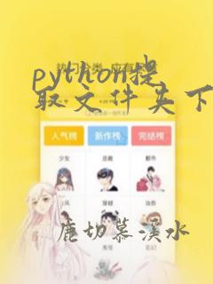 python提取文件夹下指定文件
