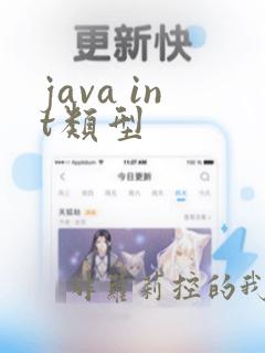 java int类型